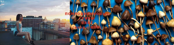 мяу мяу кристалл Беломорск