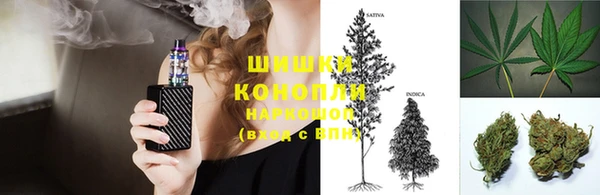 стаф Белокуриха