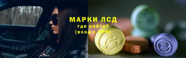 стаф Белокуриха