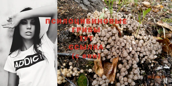 МДПВ Белоозёрский