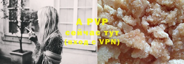 стаф Белокуриха